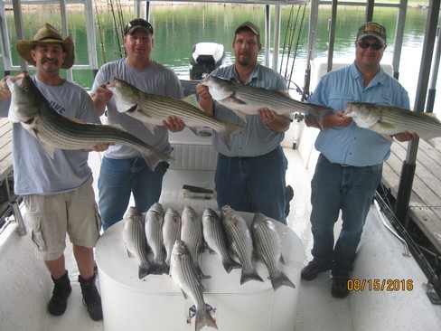 Nice Striped Bass